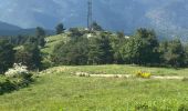 Randonnée Marche Vernet-les-Bains - Col de Jou - Photo 3