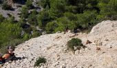 Tocht Stappen Marseille - Calanque d'en Vau - Photo 17