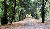 Randonnée Marche Enghien - Le Parc d'Enghien et ses jardins exceptionnels  - Photo 11