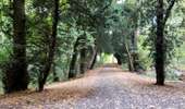 Trail Walking Enghien - Le Parc d'Enghien et ses jardins exceptionnels  - Photo 11