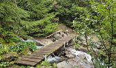 Tour Wandern Chamonix-Mont-Blanc - J9 - Petit Balcon Sud : Les Praz de Chamonix - Argentière - Photo 2