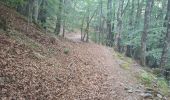 Trail Walking Prévenchères - BOUCLE AUTOUR DU CROUZET (PREVENCHERES) - Photo 11
