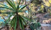 Percorso Marcia Ramatuelle - cap Camarat-golfe St Tropez-03-12-21 - Photo 12