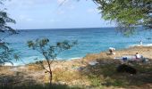Trail Walking Port-Louis - Port Louis anse Bertrand  - Photo 19