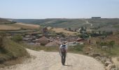 Tocht Stappen Burgos - CC_Frances_CA_13_Burgos_Hontanas_20110704 - Photo 4