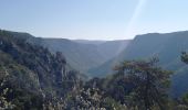 Trail Walking Le Rozier - Causse et gorges au pays des vautours  - Photo 20