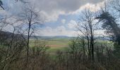 Tour Wandern Houyet - rando custinne 8 /03/2021 - Photo 10