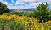 Randonnée Marche Rosis - Caroux - Photo 3