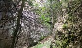 Randonnée Trail Bédoin - Ventoux par combes d’Ansis, de Fiole et de Curnier(21K 1450D+) - Photo 3