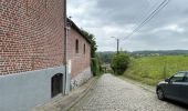 Tour Wandern Halle - Lembeek 27 km - Photo 12