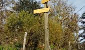 Tour Wandern Vaugneray - col de la luere, départ du stade de Vaugneray - Photo 1