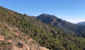 Tour Wandern Fréjus - La Louve : Vinaigre 2x - Photo 1