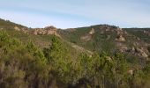 Excursión Senderismo Fréjus - mont vinaigre - Photo 5