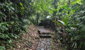 Excursión Senderismo Saint-Claude - Guadeloupe - Chute du Galion - La Citerne - Photo 1