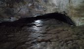 Percorso Marcia Beaumont-de-Pertuis - Grotte de St Euscher - Photo 3