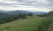 Randonnée Marche Cornimont - Autour de la ferme - Photo 4