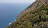 Trail Walking Machico - Madère : du tunnel de Caniçal à Porto da Cruz - aller en bus - Photo 9