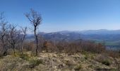 Randonnée Trail Sisteron - Chapage - Photo 8