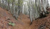 Percorso A piedi Marradi - L’Acquacheta e il Monte Lavane - Photo 7