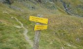 Trail Walking Cauterets - Hourquette d'Ossoué - Barrage d'Ossoué - Photo 9