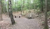 Tour Zu Fuß Lichtenfels - Rundweg Eiserne Hand - Photo 6