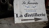 Tocht Stappen Le Lamentin - École Gondeau Beauséjour en boucle  - Photo 6