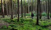 Percorso A piedi Kirchzell - Rundwanderweg Kirchzell Wildschweinfütterung 9: Hainbuche-Weg - Photo 2