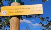 Tour Wandern Banyuls-dels-Aspres - banyuls des aspres - Photo 14