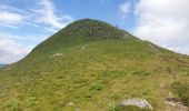 Tocht Stappen Albepierre-Bredons - Le Plomb du Cantal - Photo 19