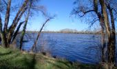 Randonnée Marche Brissac-Loire-Aubance - St Saturnin  - Photo 15