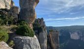 Randonnée Marche Le Rozier - Balcons du mejean  - Photo 3