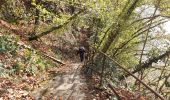 Trail Walking Houyet - Vesves _ Marche Privée  - Photo 7