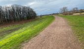 Trail Walking Wichelen - Wetteren 20 km - Photo 6