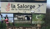 Trail Walking Les Sables-d'Olonne - Rando du 25-01-2020 - Photo 1