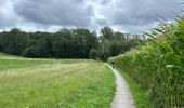 Trail Walking Oudenaarde - Audenarde Oudenaarde 11,6 km - Photo 4