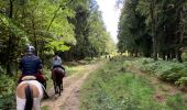 Trail Horseback riding Theux - La Reid Les Cours - Photo 4