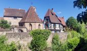 Tour Wandern Kaysersberg-Vignoble - 2021-05-30 Marche Kaysersberg Ursprung St Alexis - Photo 8