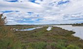 Tocht Stappen Vic-la-Gardiole - Circuit des salines  - Photo 4