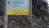Trail Walking Saint-Cyr-sur-Mer - Boucle Port Madrague St Cyr sur Mer  - Photo 1