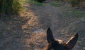 Trail Horseback riding Fronton - Trec 2 finalisé - Photo 3