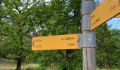 Trail Walking Villes-sur-Auzon - Contreforts du ventoux  - Photo 8