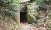 Percorso Marcia Grandfontaine - Positions fortifiées du Donon sentier des casemates - sud - Photo 6