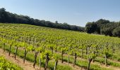 Excursión Senderismo Sabran - Sabran marche vigneronne - Photo 5