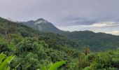 Excursión Senderismo Le Morne-Rouge - Le Morne-Rouge  -  Le  Carbet par Col Yang Ting - Photo 13