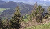 Trail Walking Orcines - le puy de dome - Photo 1