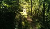Trail Walking Mercus-Garrabet - Mercus-Garabet - Photo 8