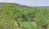 Tour Wandern Clermont-Ferrand - PUY DE CHANTURGUE - Photo 9