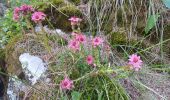 Tour Wandern Crévoux - mon.parcours des fées : cascade de razis via le torrent / retour via le canal du meal - Photo 4