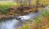 Tocht Stappen Ham-sur-Heure-Nalinnes - Balade à Cours-sur-Heure - Photo 7