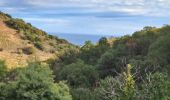 Trail Walking Collioure - boucle autour de collioure  - Photo 7